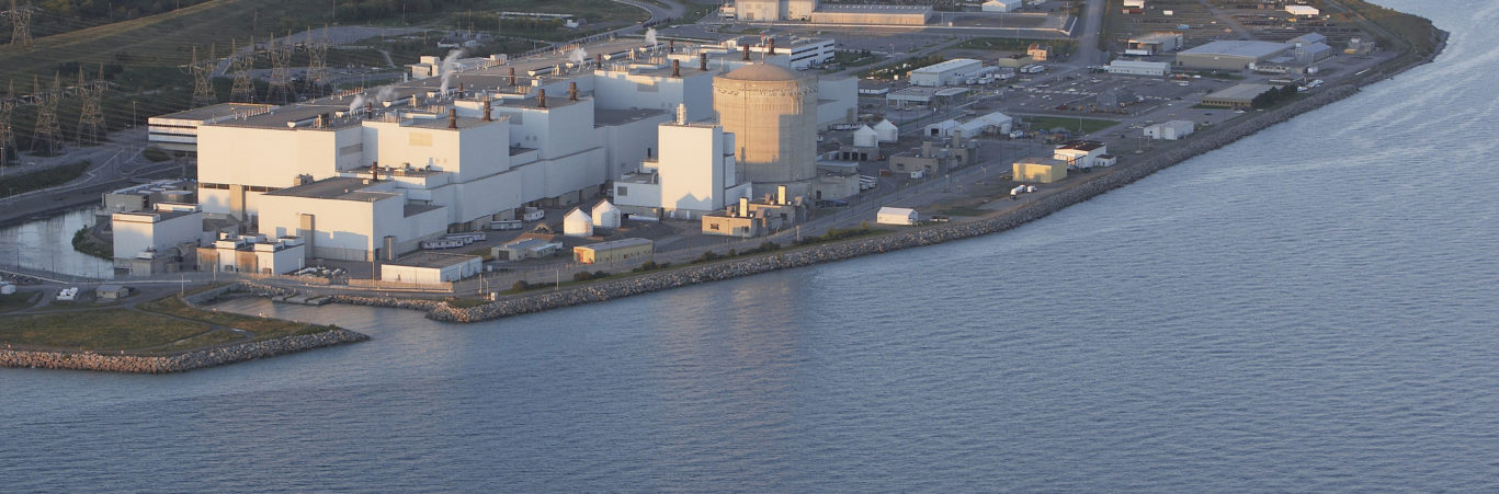 CANDU REACTORS